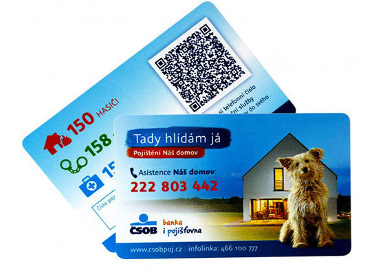 Intelligente Plastik-RFID  kontaktlose Zahlungs-Karte ISO